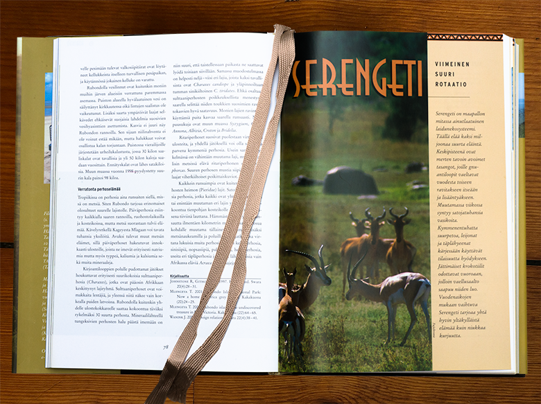 Serengeti-osion avausaukeama